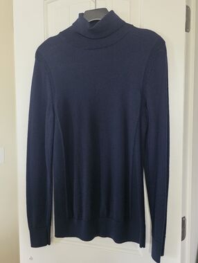 Express Turtleneck Everyday Performance Merino Wool Sweater